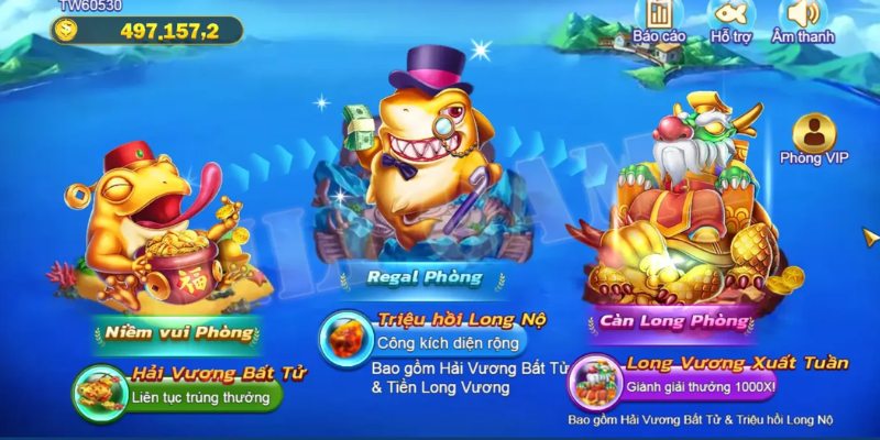 Các phòng săn cá royal fishing
